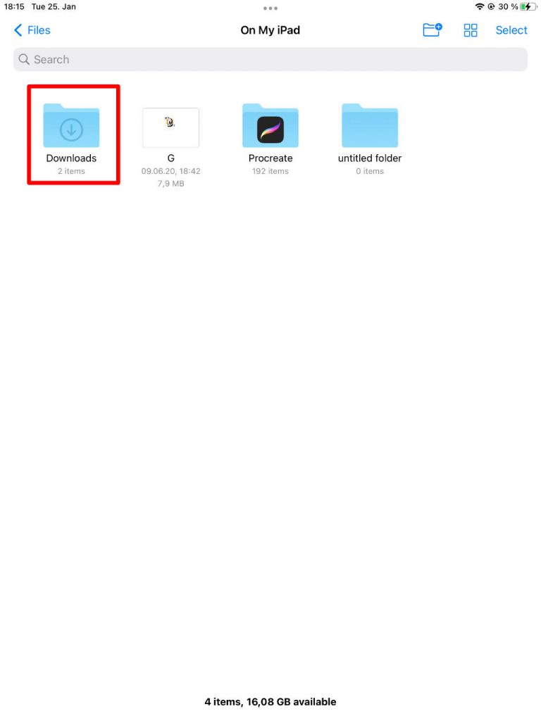 iPad "Download"-Ordner Screenshot